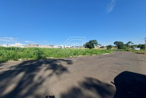 michelangelo23lt5_003