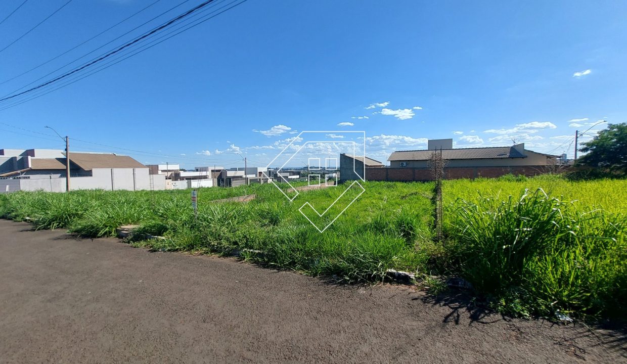 michelangelo3lt2_001