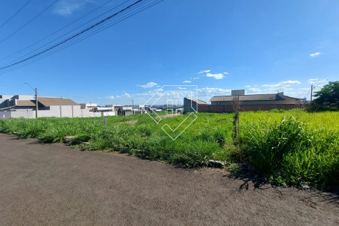 michelangelo3lt2_001