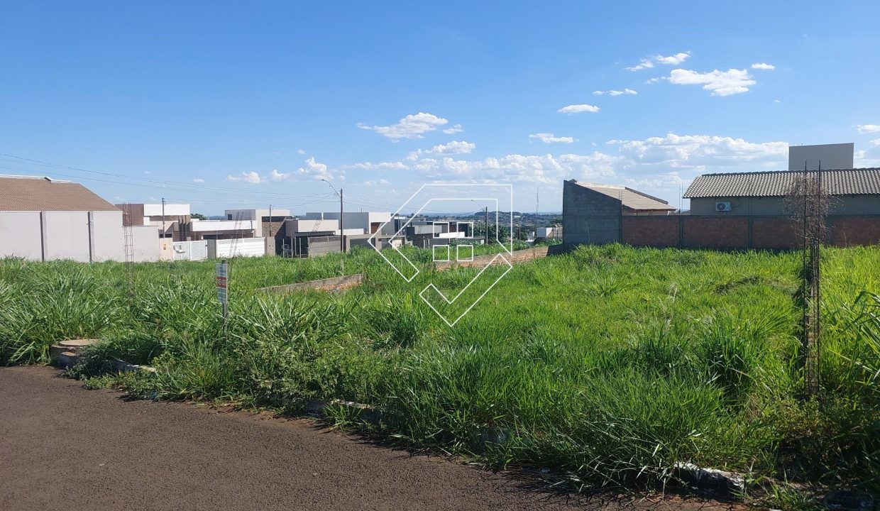 michelangelo3lt2_002