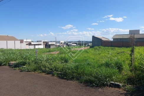 michelangelo3lt2_002