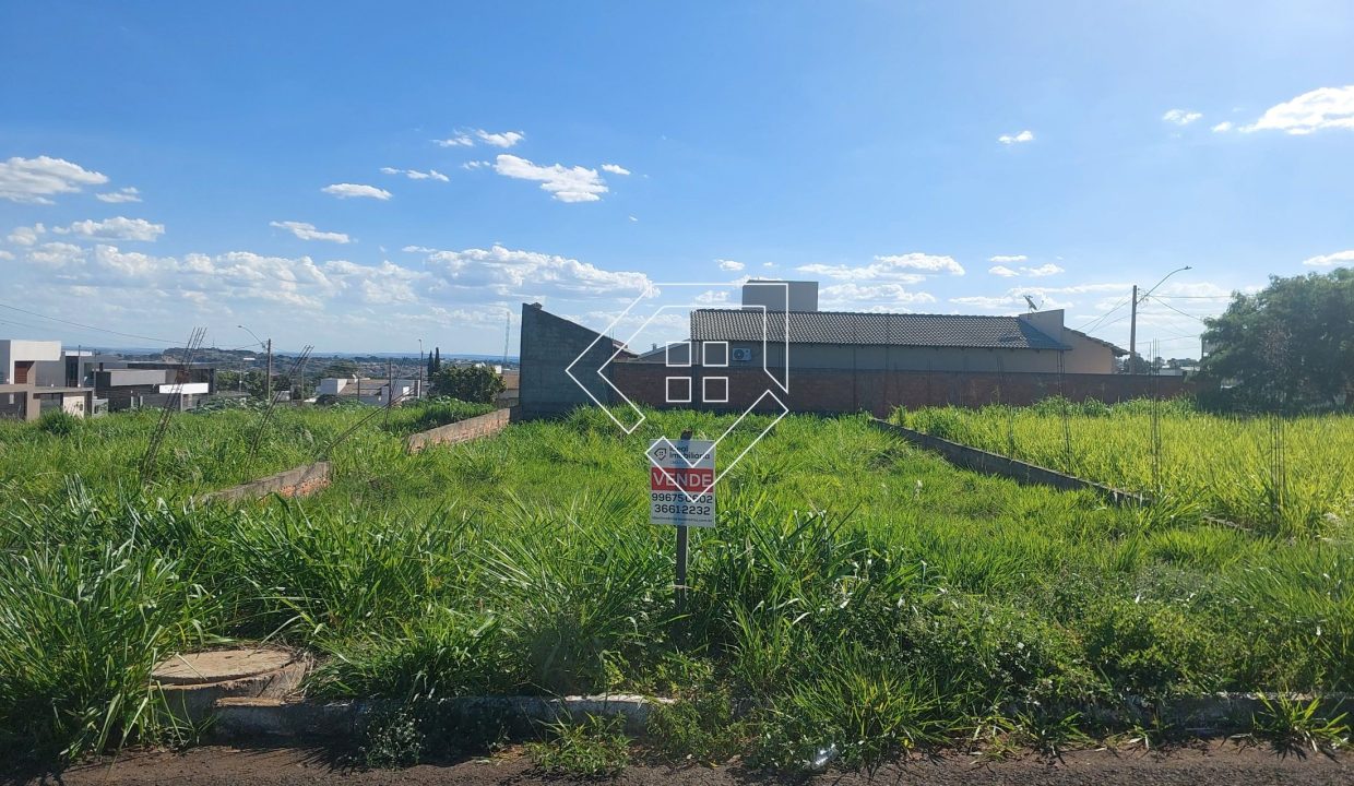 michelangelo3lt2_003