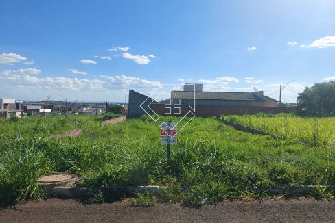 michelangelo3lt2_003