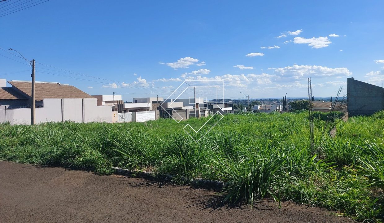 michelangelo3lt2_004