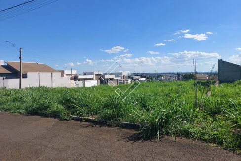 michelangelo3lt2_004