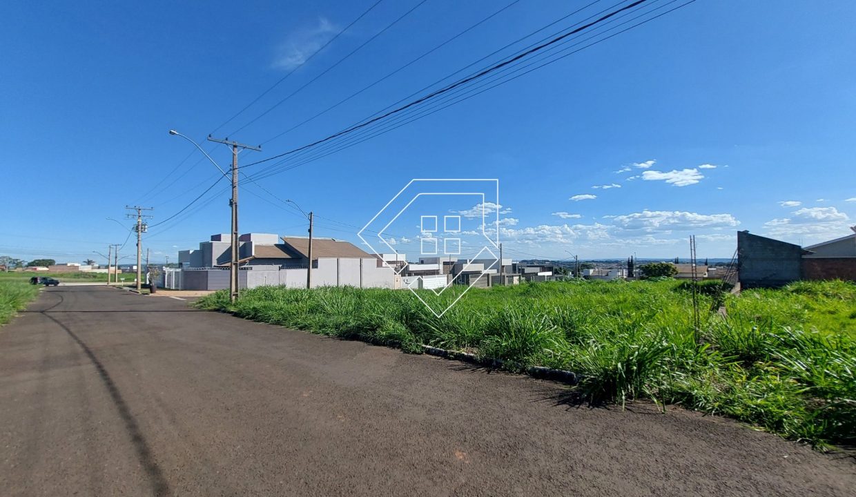 michelangelo3lt2_005