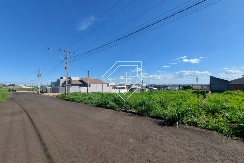 michelangelo3lt2_005