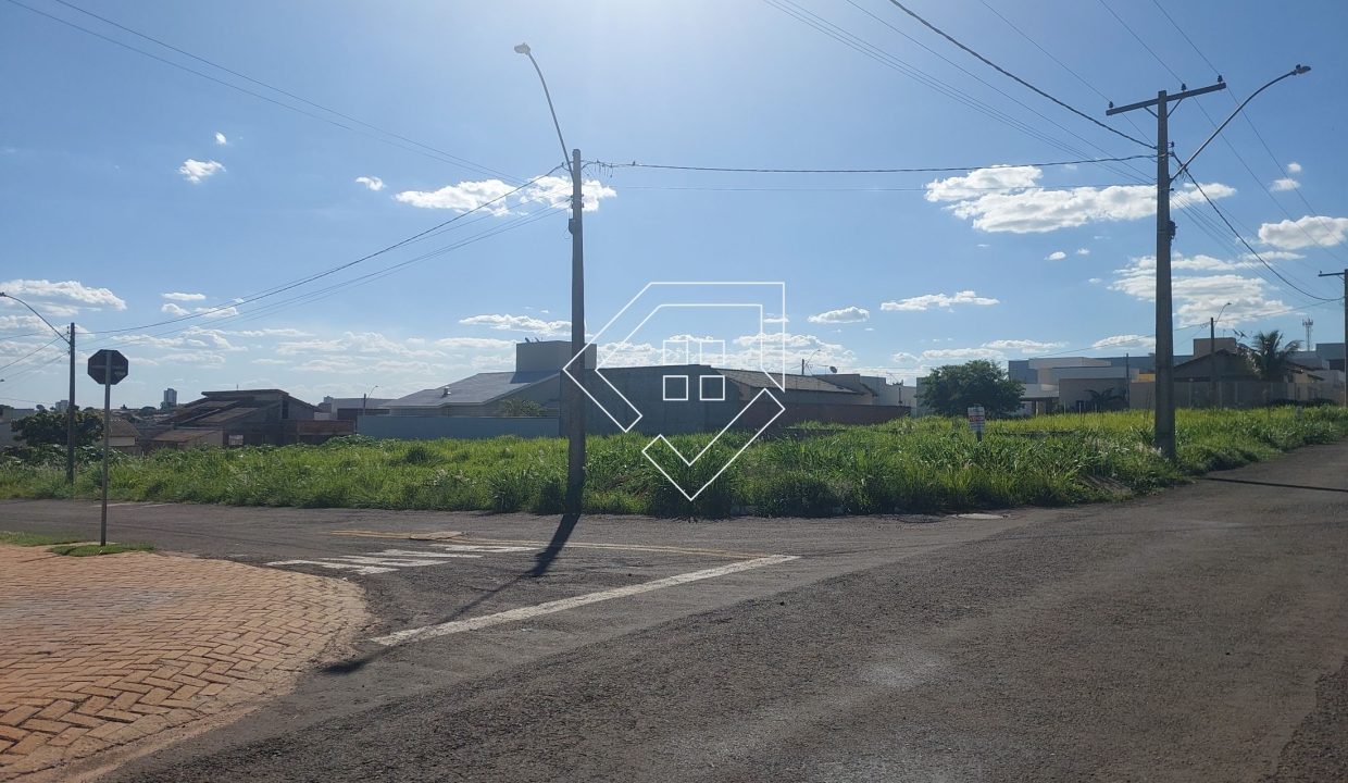 michelangelo3lt2_006