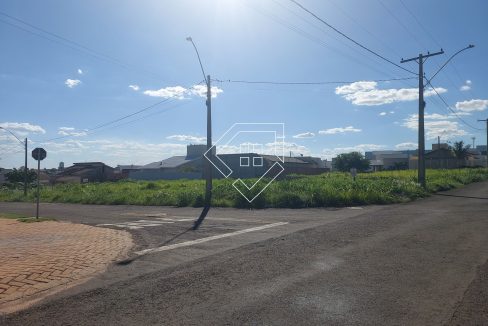 michelangelo3lt2_006