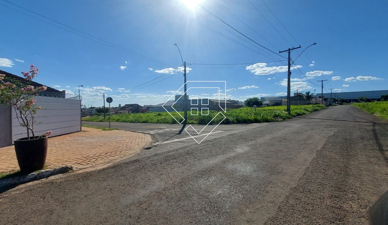 michelangelo3lt2_007