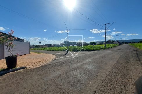 michelangelo3lt2_007