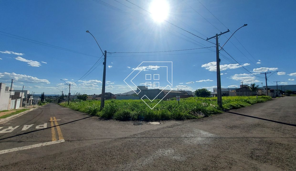 michelangelo3lt2_008