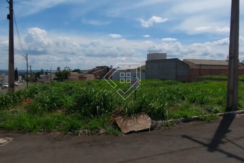 michelangelo79852_001