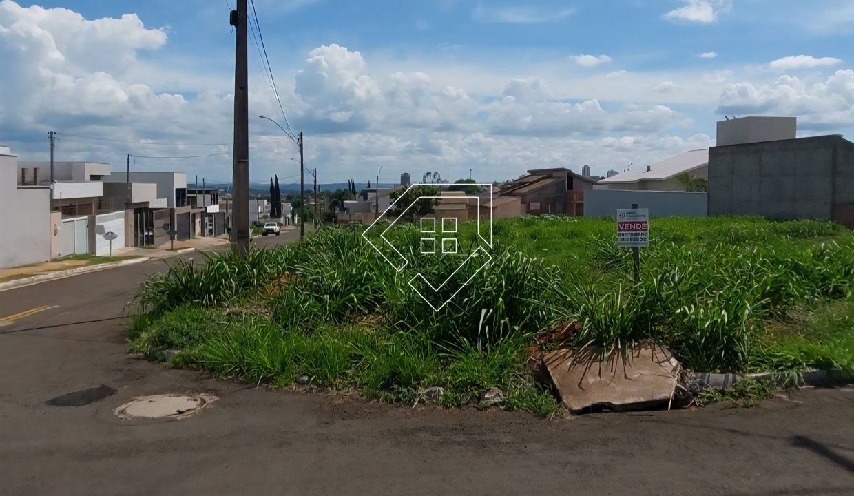 michelangelo79852_002