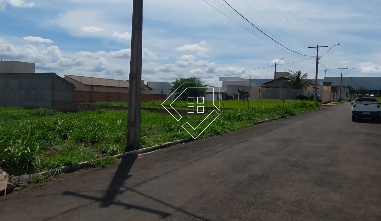 michelangelo79852_003