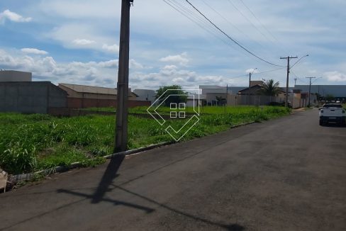 michelangelo79852_003