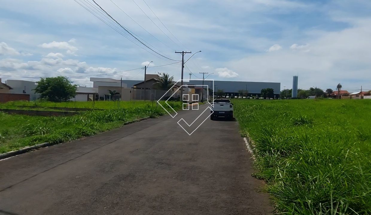 michelangelo79852_004