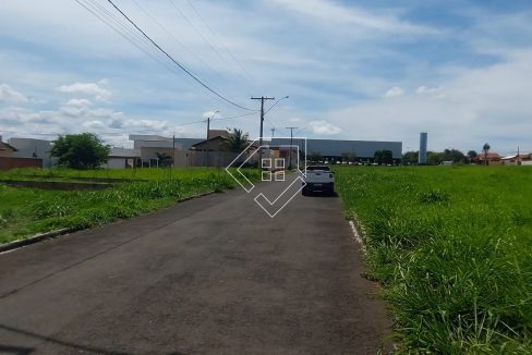 michelangelo79852_004