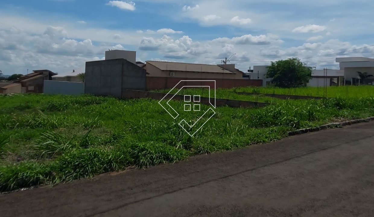 michelangelo79852_005