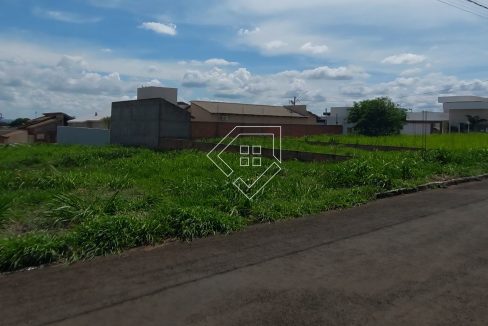 michelangelo79852_005