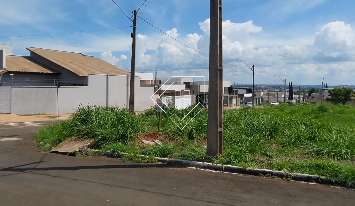 michelangelo79852_006