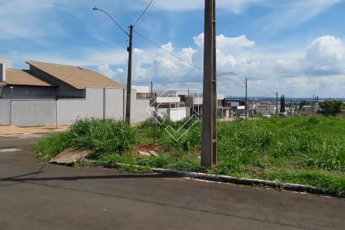 michelangelo79852_006