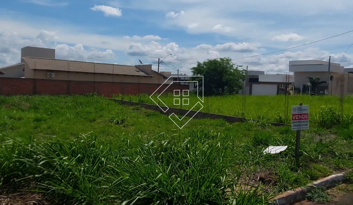 michelangelo79852_007