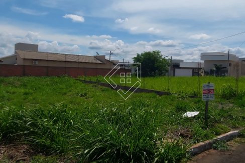 michelangelo79852_007