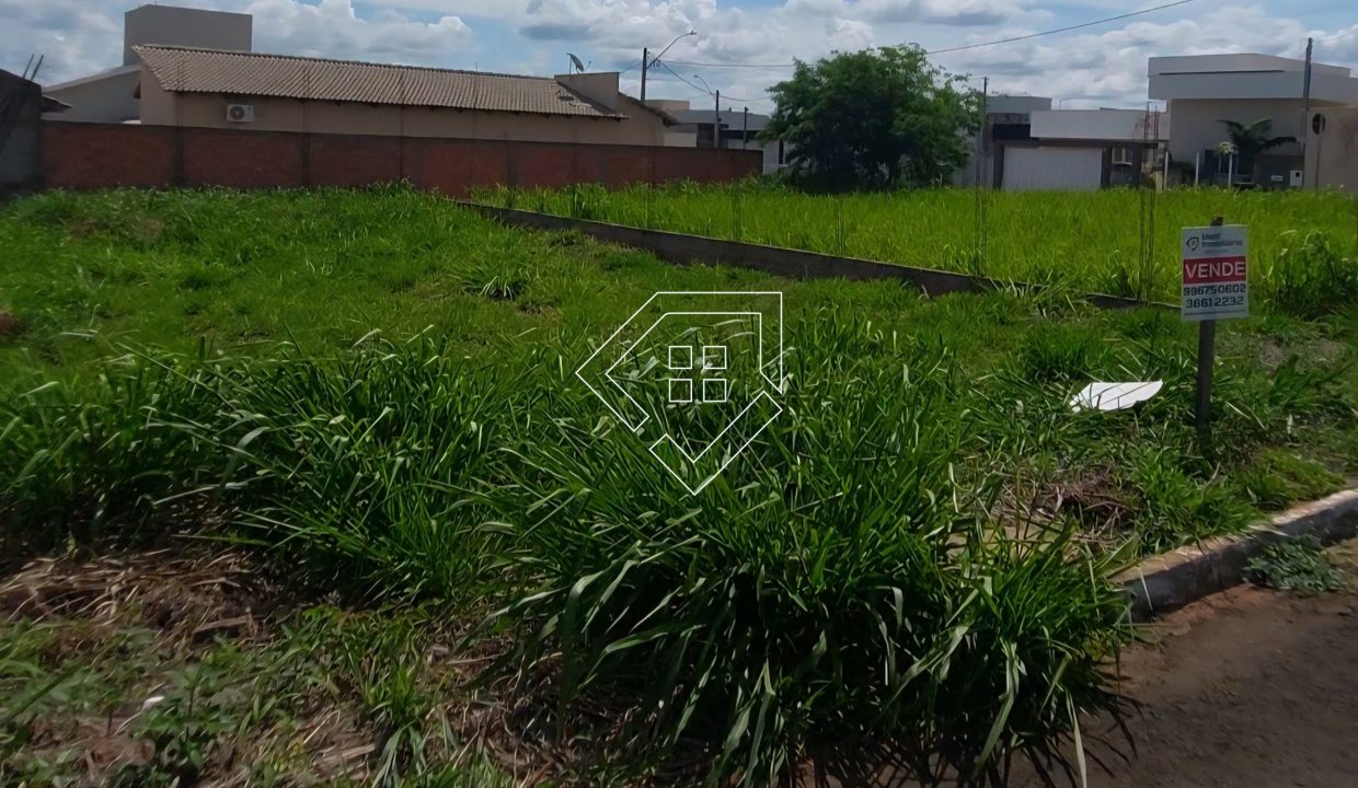 michelangelo79852_008