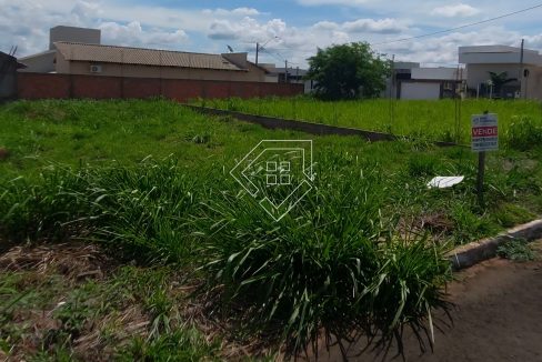 michelangelo79852_008