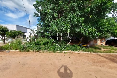 nsraparecida80853_001