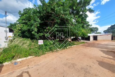 nsraparecida80853_002