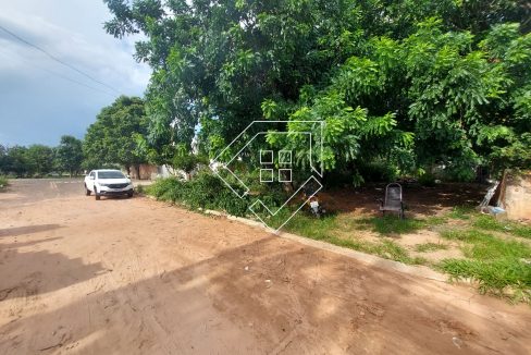 nsraparecida80853_003