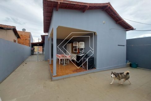 polivalente80385_022