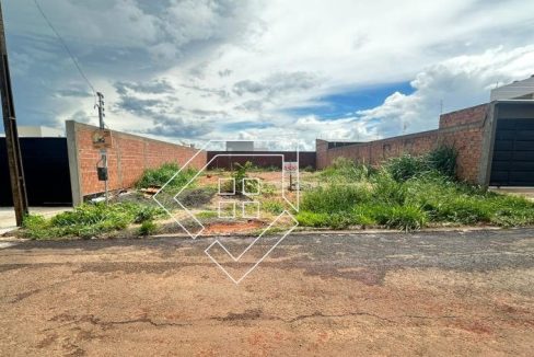 michelangelo81628001