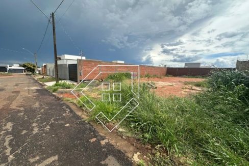 michelangelo81628003