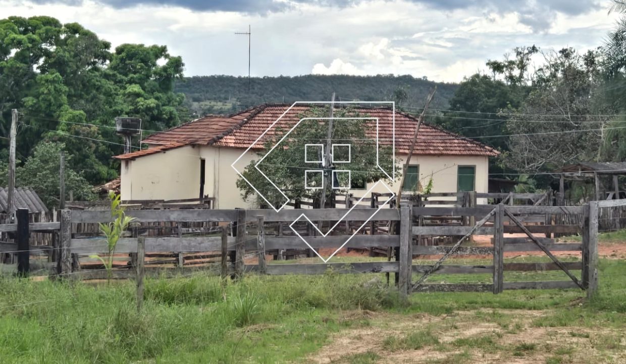 WhatsApp Image 2026-03-30 at 10.30.14 (1)