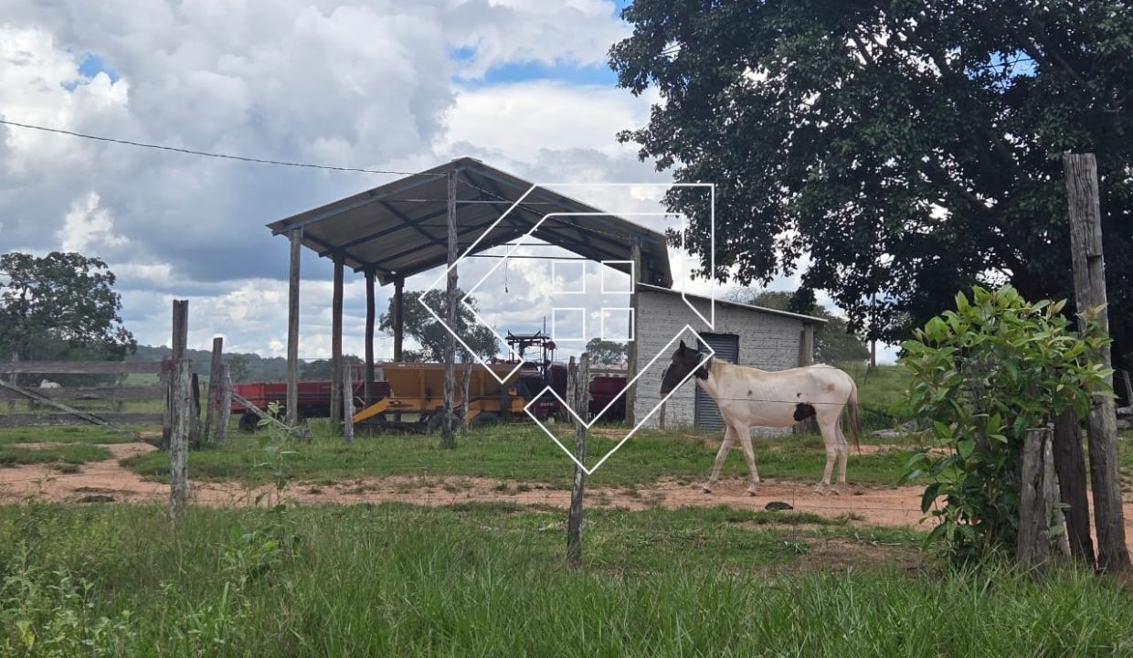 WhatsApp Image 2026-03-30 at 10.30.14