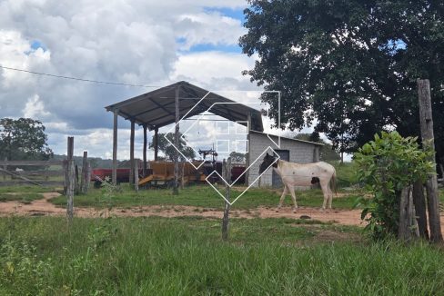 WhatsApp Image 2026-03-30 at 10.30.14