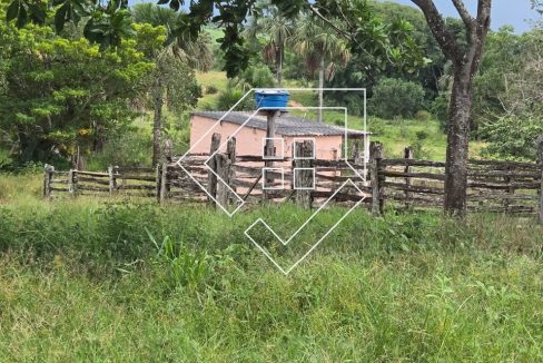 WhatsApp Image 2026-03-30 at 10.30.15