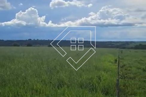 WhatsApp Image 2026-03-30 at 14.18.50