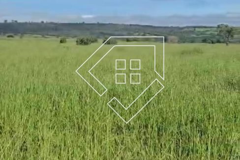 WhatsApp Image 2026-03-30 at 14.18.51 (1)