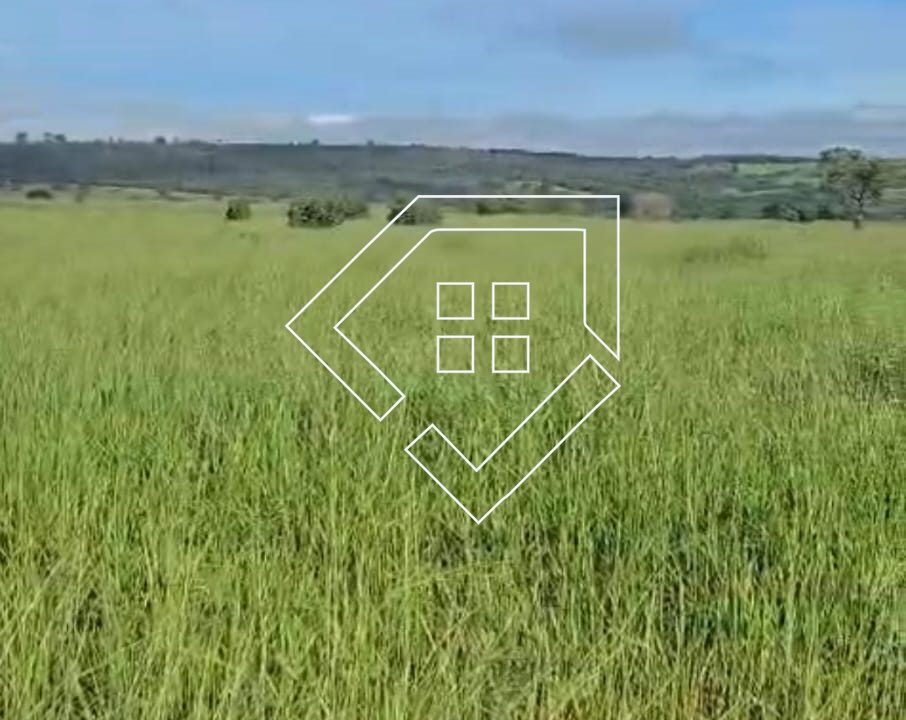 WhatsApp Image 2026-03-30 at 14.18.51 (1)