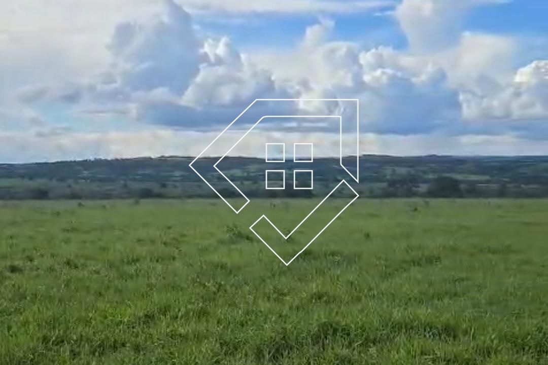 WhatsApp Image 2026-03-30 at 14.18.51