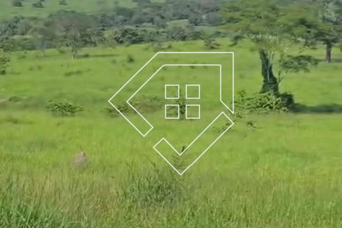 WhatsApp Image 2026-03-30 at 14.18.51 (2)