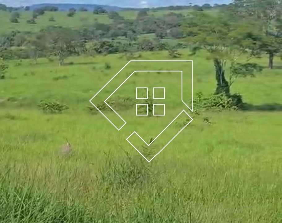 WhatsApp Image 2026-03-30 at 14.18.51 (2)