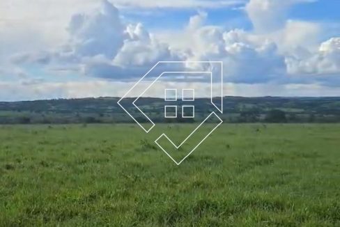 WhatsApp Image 2026-03-30 at 14.18.51