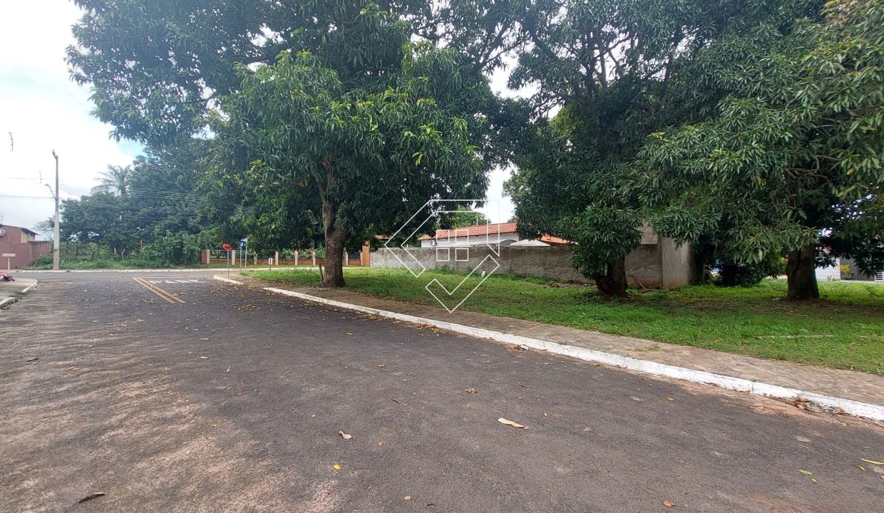 joseoliveiramartinsl2425_005