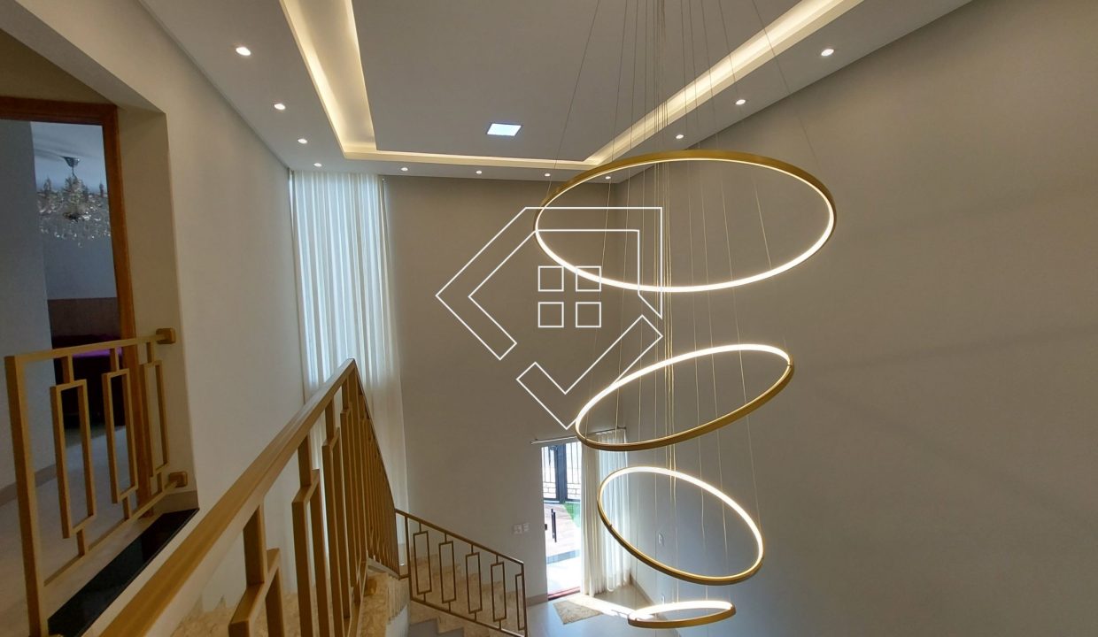 michelangelo2419_013