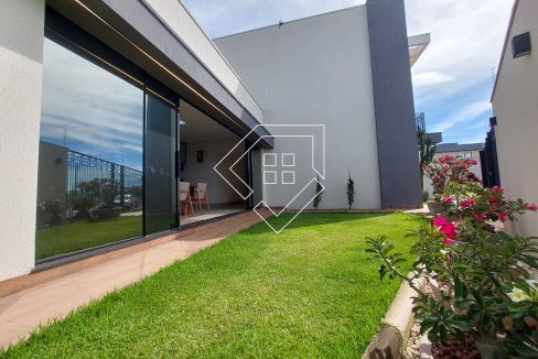 michelangelo2419_038